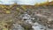 Mountain stream with clear water. Natural source of clean water in the mountains.