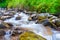 Mountain stream creek in the stones and green grass banks in mountain forest