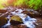 Mountain stream creek in the stones and green grass banks in mountain forest