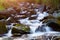 Mountain stream creek in the stones and green grass banks in mountain forest