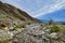 Mountain stream in the desert, Anza-Borrego Desert State Park, California, USA