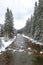 A mountain stream flowing through the forest