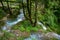 Mountain stream flowing through green forest and glade