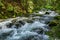 Mountain stream flowing between mossy stones