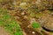 Mountain stream flowing through a stony field. Altai, Russia