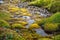 Mountain stream flows among the green and yellow bumps of moss