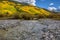 A mountain stream flows past a hillside of autumn colored yellow and green aspen trees.
