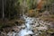 Mountain Stream through The Forest