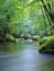 Mountain stream in fresh green leaves forest after rainy day. First autumn colors in evening sun rays.The end of summer at river