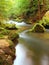 Mountain stream in fresh green leaves forest after rainy day. First autumn colors in evening sun rays.The end of summer at river