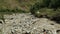 Mountain stream in Georgia