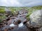 mountain stream in hallingskarvet national park in norway