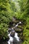 Mountain stream inside a tropical forest located in the National Guadeloupe park, Basse-Terre, Guadeloupe