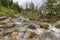 Mountain Stream - Jasper National Park, Alberta, Canada