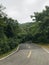 A mountain stream leads to a distant asphalt road