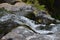 A mountain stream in Madeiraâ€™s rugged central range