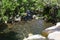 A mountain stream in Madeiraâ€™s rugged central range