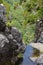 A mountain stream in Madeiraâ€™s rugged central range