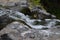 A mountain stream in Madeiraâ€™s rugged central range