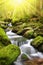 Mountain stream in the National park Sumava