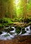 Mountain stream in the National park Sumava