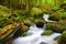 Mountain stream in the National park Sumava