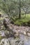 Mountain stream near the Magma Geo Park outside Stavanger Norway.