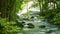 Mountain stream near a waterfall in the rainforest