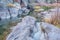 Mountain stream in northern Colorado