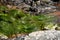 Mountain stream over marsh grass