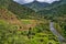 Mountain stream with overgrown field and forest, Waioeka Gorge New Zealand