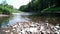 Mountain stream runs in background of dense forest. Stock footage. Streams of water spread along stone mouth of mountain