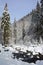 A mountain stream runs through snowy forest in the Transylvanian Alps.