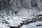 A mountain stream runs through snowy forest in the Transylvanian Alps.