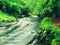 Mountain stream in sandstone gulch and below green branches of acacias, beeches and oaks. Water level makes green reflections. The