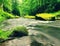 Mountain stream in sandstone gulch and below green branches of acacias, beeches and oaks. Water level makes green reflections. The