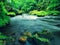 Mountain stream in sandstone gulch and below green branches of acacias, beeches and oaks. Water level makes green reflections. The