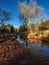 Mountain Stream at Sunset