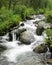 Mountain stream through the trees