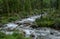 Mountain stream through the trees