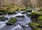 Mountain stream in the Vogtland Saxony