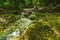 Mountain stream waves in tropical jungle sunny day. Beautiful painting on wall