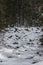 Mountain stream in the winter Carpathian Mountains. The path to the highest mountain of Ukraine-Hoverla