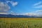 mountain summer landscape with a clearing with blue clear sky and clouds, snow-capped high mountains on the horizon