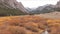 Mountain surround a small creek in Idaho nature