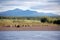 Mountain and taiga at Kolyma river Russia outback