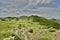 Mountain top field in Panama