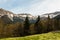 Mountain tops forest meadow scenic view