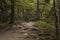 Mountain trail inside the forest. Beautiful scenic, romantic landscape. Roots of trees and stones on path in wild wood. Schwarzwal