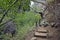 Mountain trail through the jungle to the mysterious waterfall on the island of Tenerife, natural background